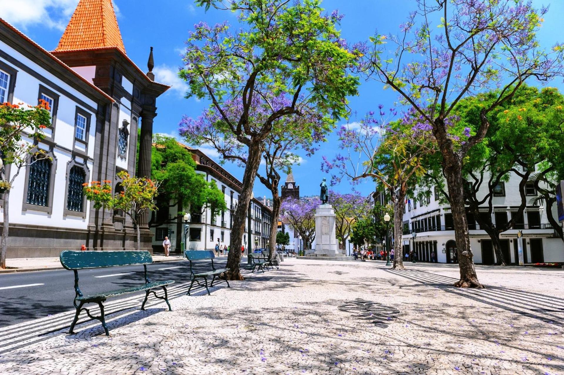 Art Deco Central Apartments, Funchal Luaran gambar
